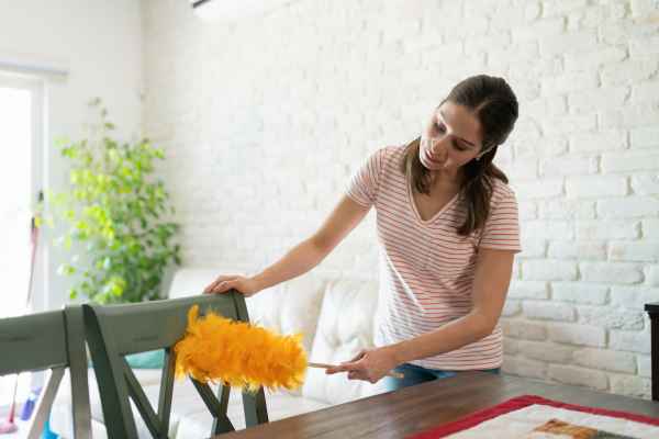 Professional dusting service